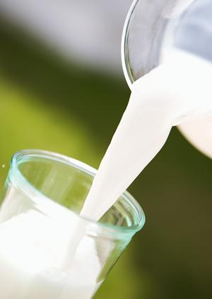 地域に愛され続けるお弁当の名店：つるやの魅力と店舗情報