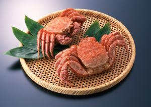 地域密着型のお店！お客様満足度No.1の【店舗名】をご紹介